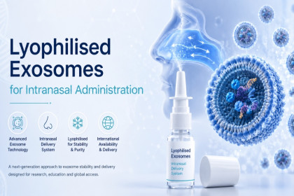 Lyophilised Exosomes for Intranasal Administration